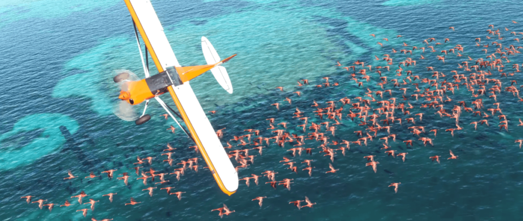 Microsoft Flight Simulator Screenshot