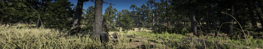 How to set triple-screen ultra-wide 5760x1080 on Red Dead Redemption 2