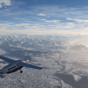 Microsoft Flight Simulator plane